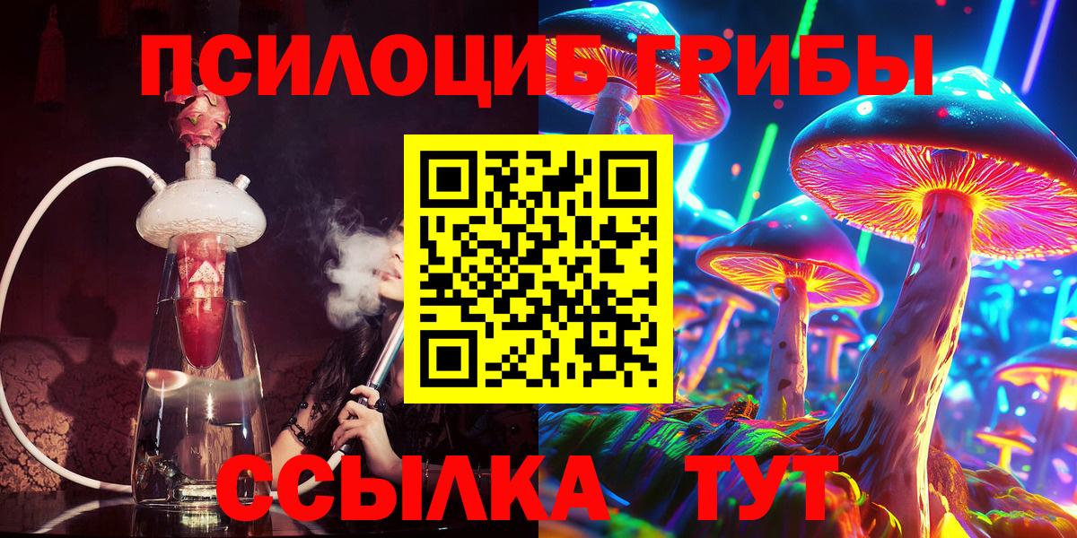 Псилоцибиновые грибы Psilocybe Амурск
